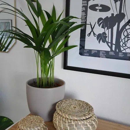 Apartment Universum Penthouse Split