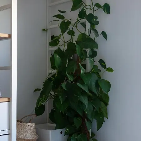 Universum Penthouse Apartment Split